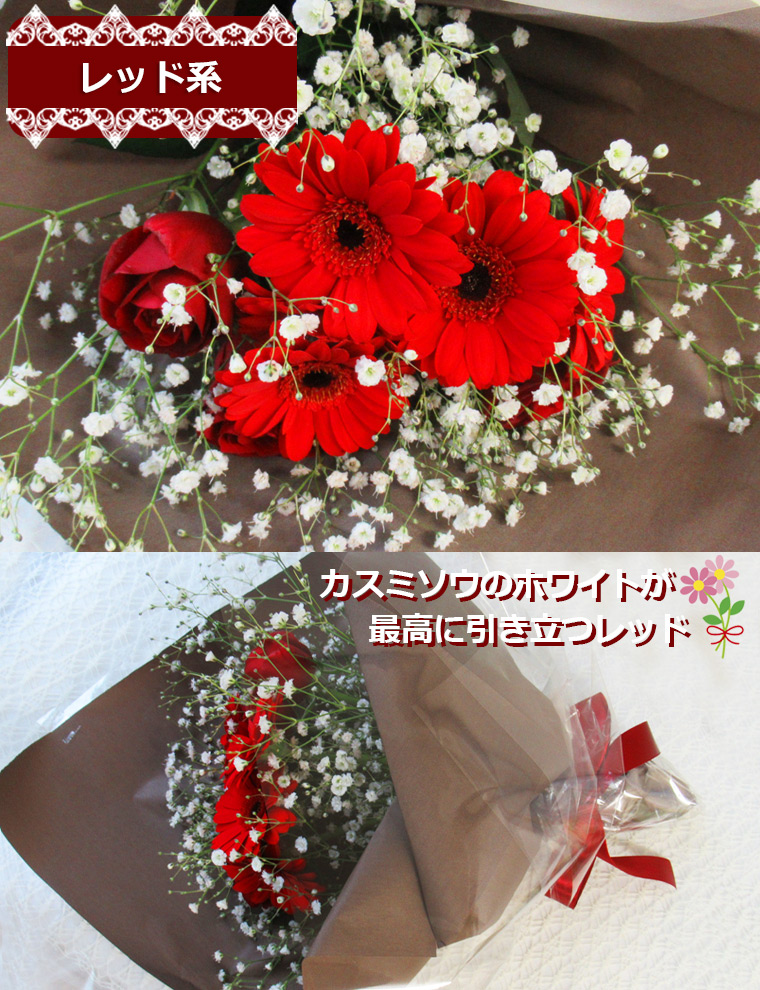 レッド系