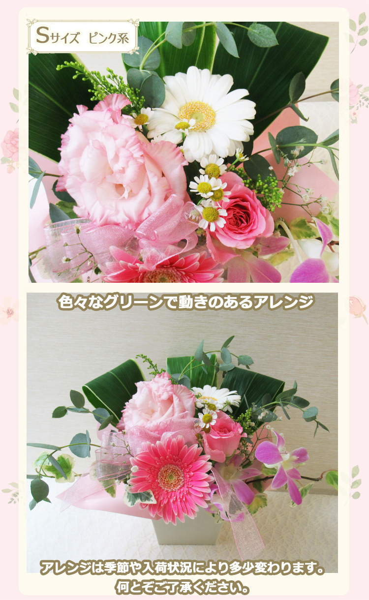 ピンク系