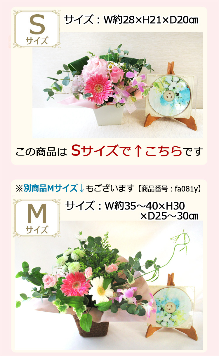 サイズ