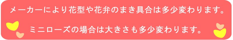 プリザーブドローズ色見本 あれんじhana倶楽部 通販 Yahoo ショッピング