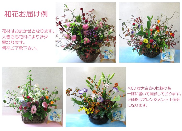 ☆早い者勝ち☆ 作例、文献付 生花格花花材事典 講談社 ざいけのぼう 11月号 #生花新風体 #まゆみ#アレカヤシ #ブルー
