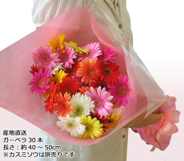 5/5〜5/12以外のお届け 送料無料 一部地域を除く 生花 花束