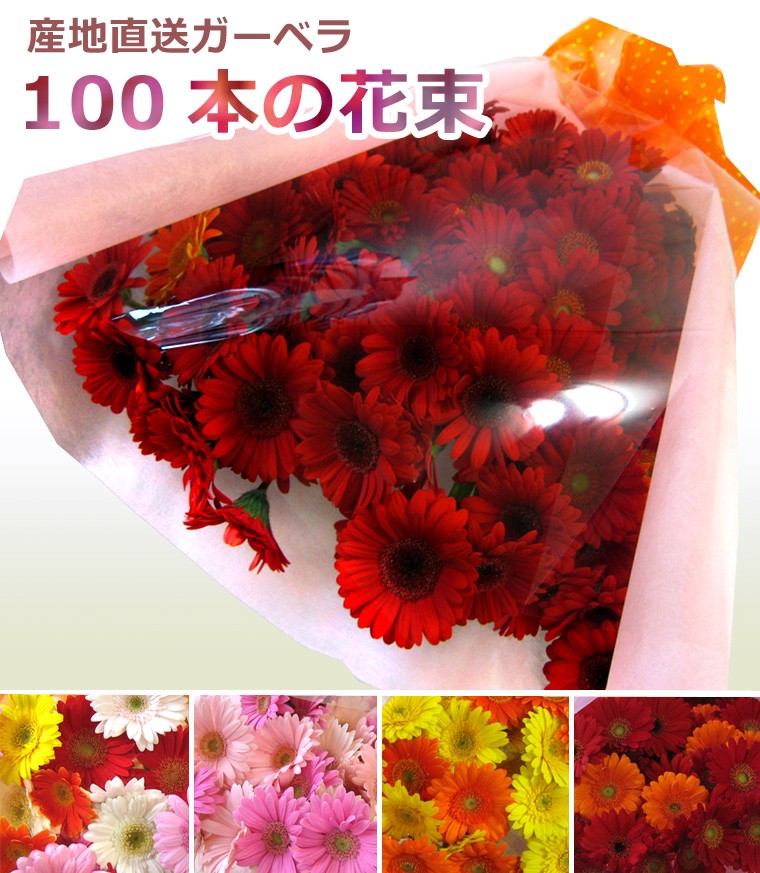 imgrc0069835429.jpg
