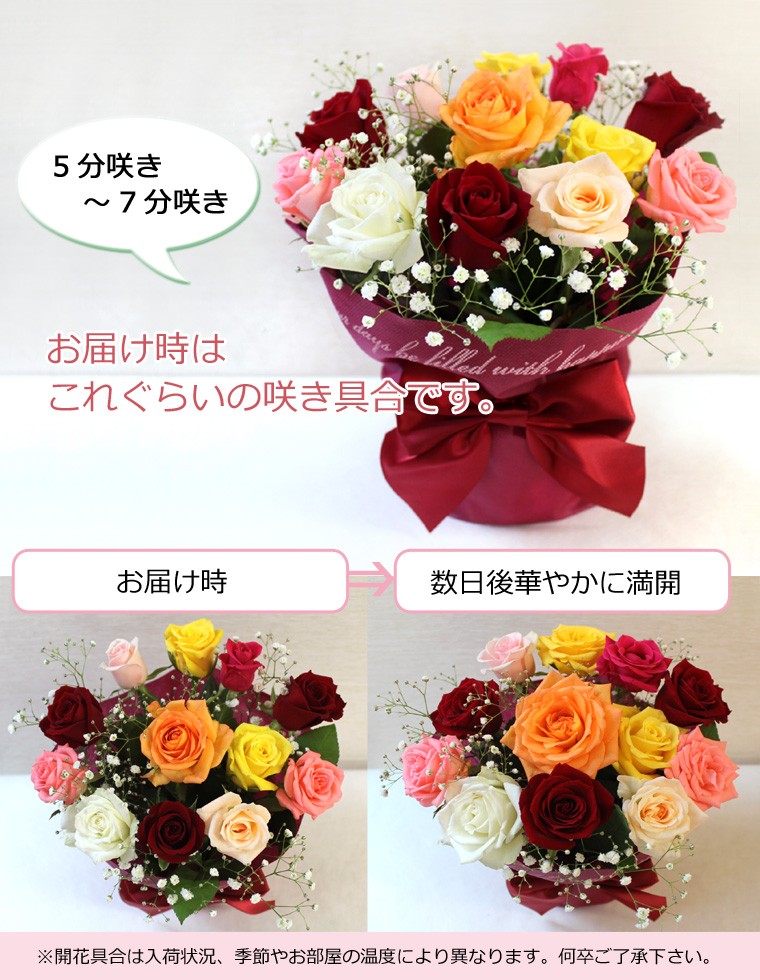 咲き具合