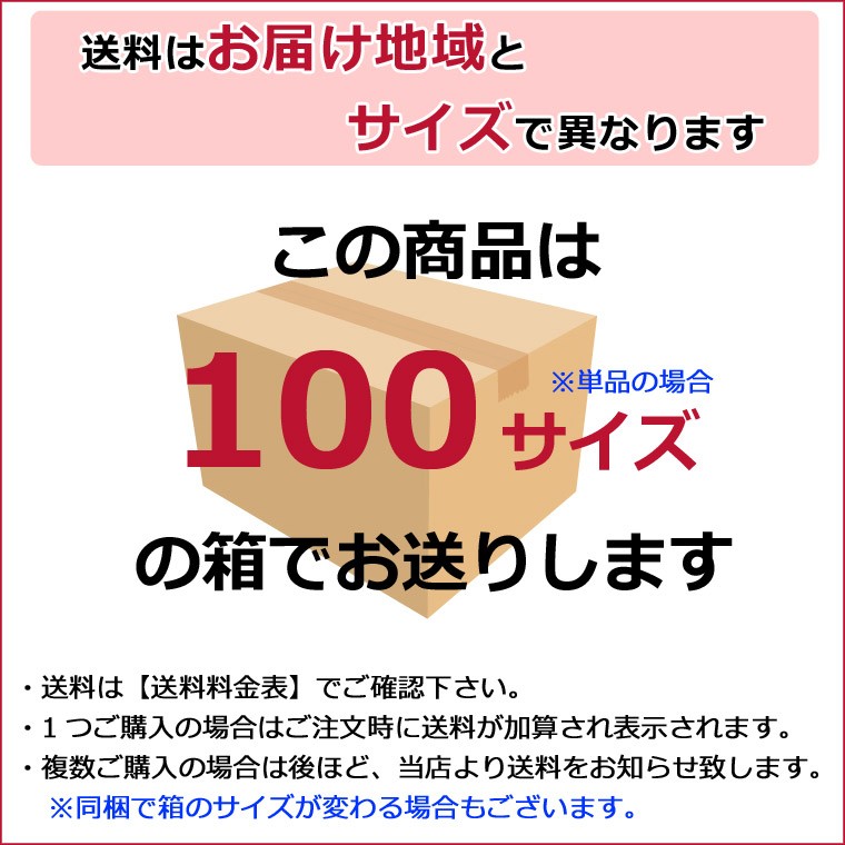 100サイズ