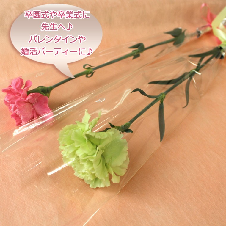 贈呈花カーネーション１輪