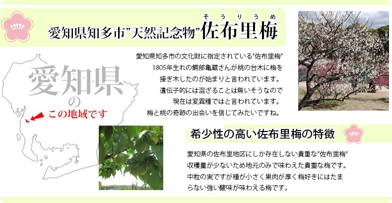 梅干し ねりうめ 天然記念物 佐布里梅 900g150g 6個 無着色 無添加
