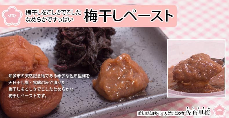 梅干し ねりうめ 天然記念物 佐布里梅 900g150g 6個 無着色 無添加