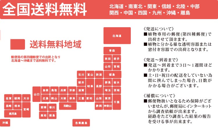 多肉植物 配送について