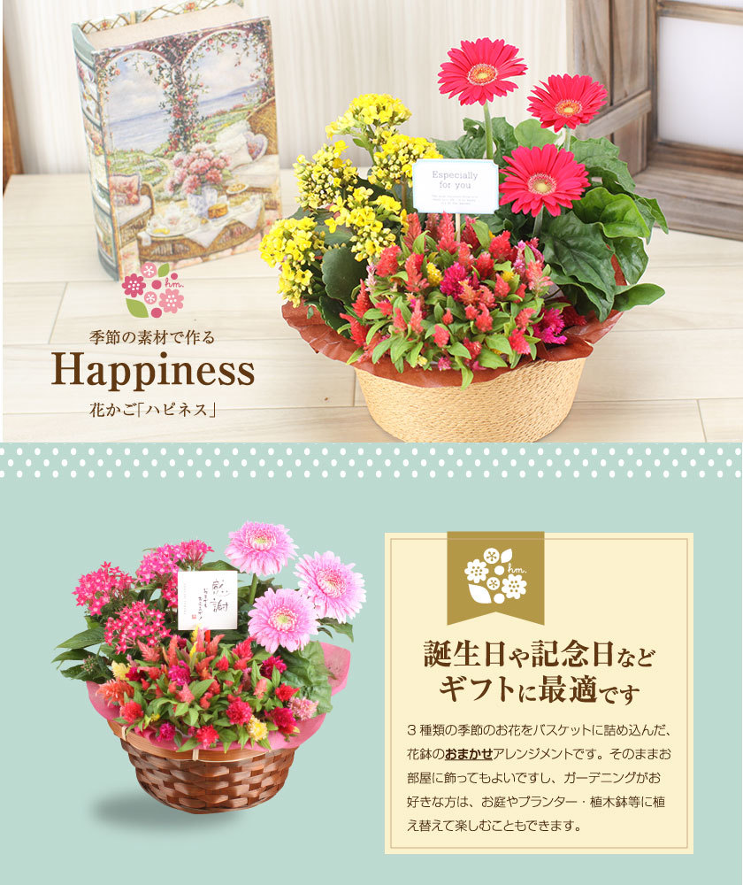 誕生日 花 プレゼント 2022 花鉢 ギフト 3種でつくるおまかせ寄せかご ピック付き :yosebati-002:花束とアレンジの専門店 花むすび  - 通販 - Yahoo!ショッピング