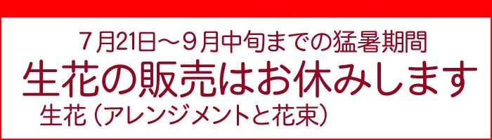 アトリエ花みずき Yahoo 店 ブルー系 お花屋さんにおまかせ Yahoo ショッピング