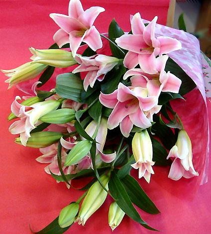 ピンク ゆり花束 敬老の日 豪華さと香りの百合 フラワーギフト : lily