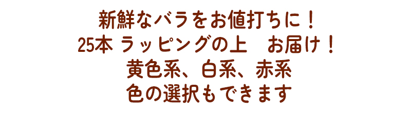 色の選択もできます