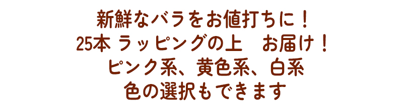 色の選択もできます