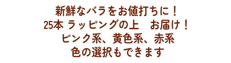 色の選択もできます