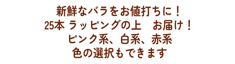 色の選択もできます