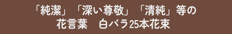 白バラ説明