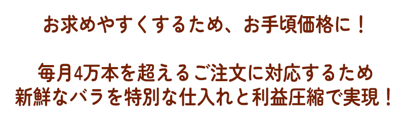 お手頃価格に