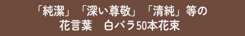 白バラ説明