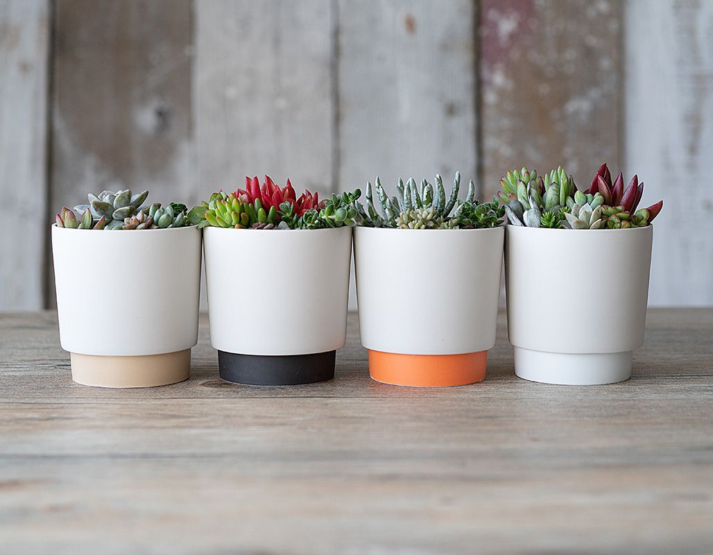 ground グラウンド プランター M 11.6cm オレンジ 3.5号ポット用 晋山