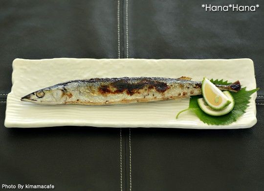 在庫限り／ 食器 和食器 美濃焼 皿 プレート 長皿 長角皿 前菜皿
