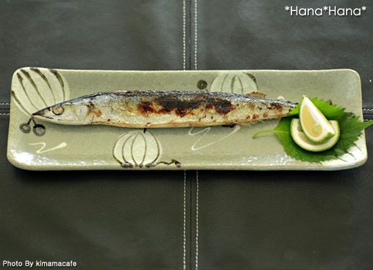 山善 食器 和食器 美濃焼 皿 プレート 長皿 長角皿 前菜皿 さんま皿