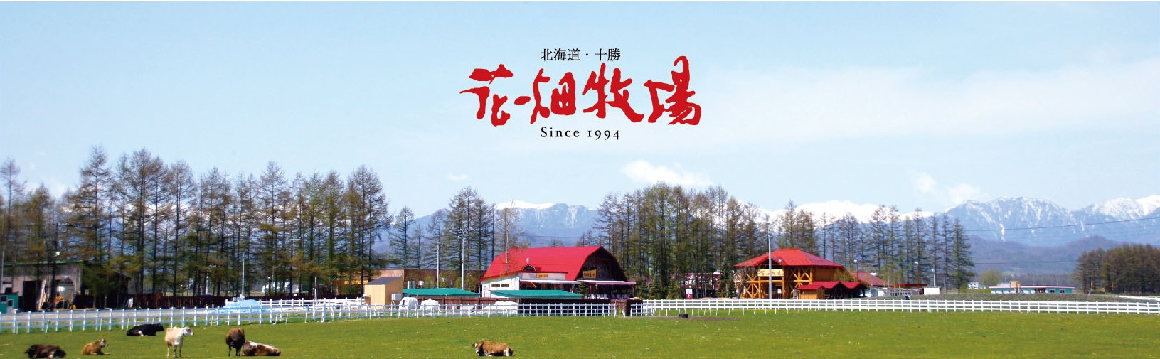北海道・十勝 花畑牧場 Yahoo!店 ヘッダー画像