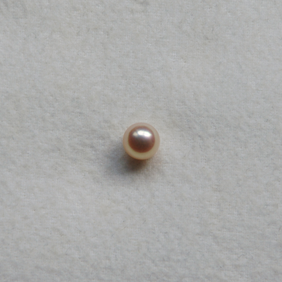 puu 　あこや　花珠ルース 8085q2-01.jpg