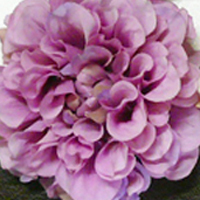 髪飾り コサージュ　花 ダリア　選べる9色　結婚式 成人式 卒業式 |  | 03