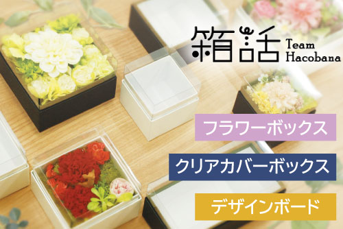 真作/有鄰/花土/文質/書/布袋屋掛軸HH-275 真作/陳良生/白梅花図/證明書付/2-1/布袋屋掛軸HE-560