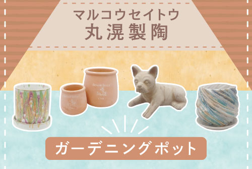 はなどんやアソシエ - Yahoo!ショッピング