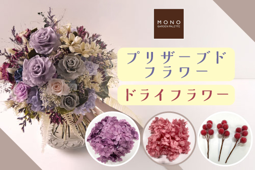 はなどんやアソシエ - Yahoo!ショッピング