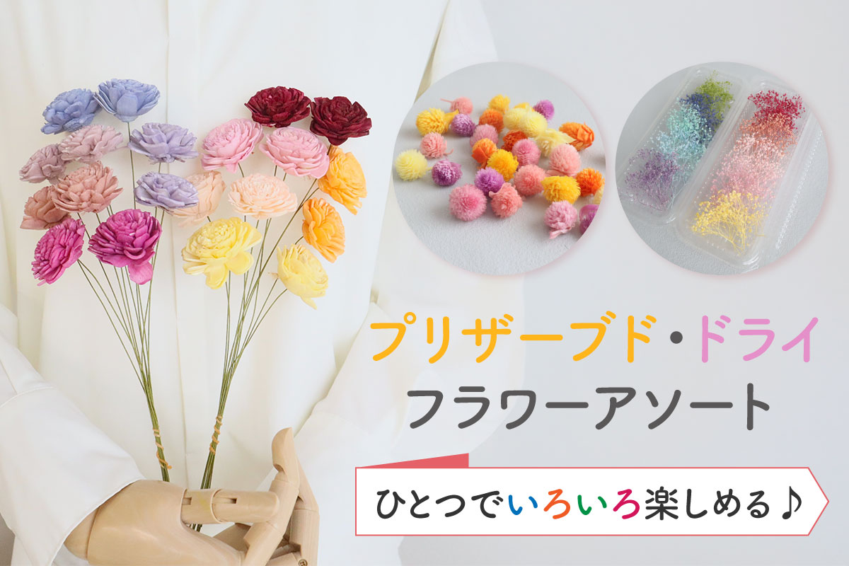 はなどんやアソシエ - Yahoo!ショッピング
