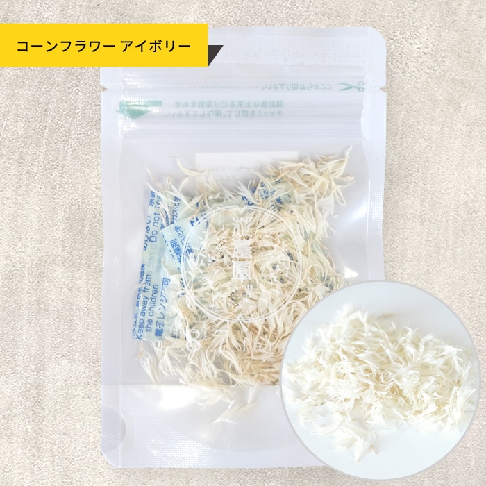 コーンフラワーアイボリー