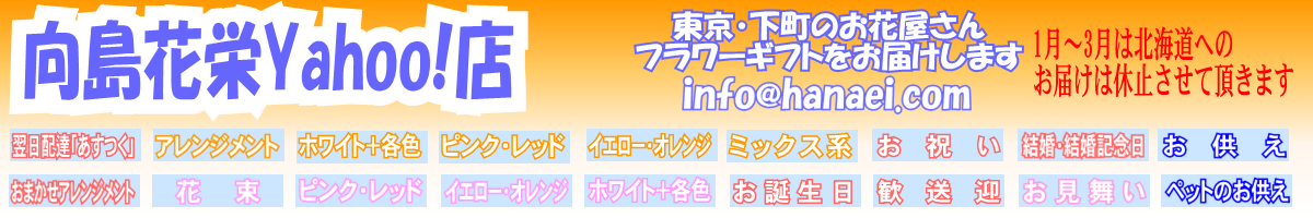向島花栄 Yahoo!店 ヘッダー画像