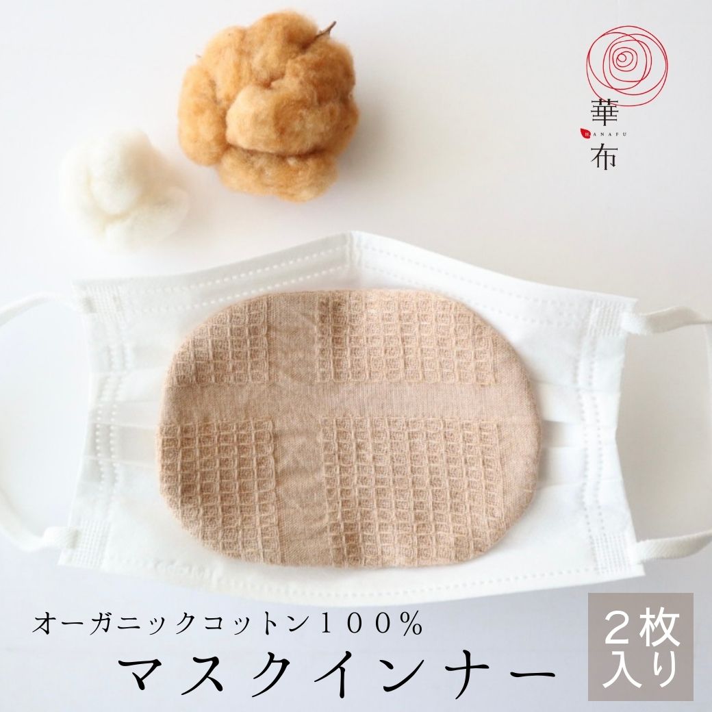 マスクインナー薄地2枚入り