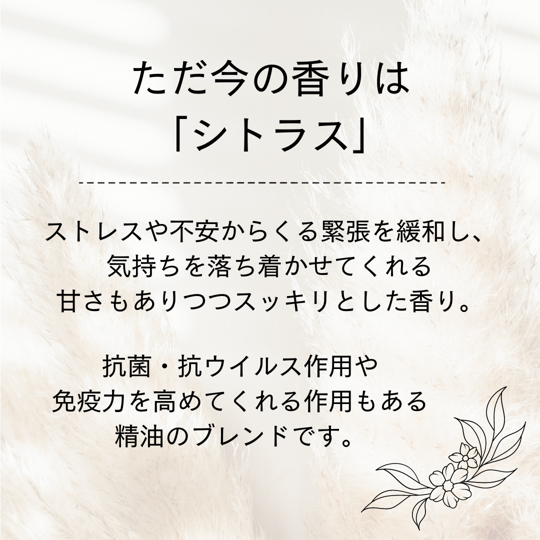 ただ今の香りはシトラス
