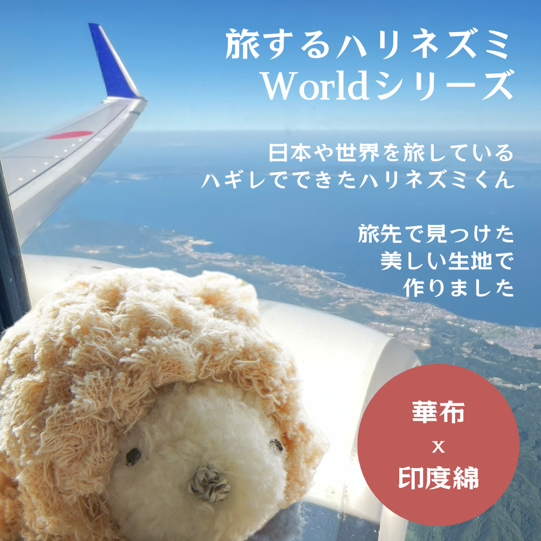 旅するハリネズミ