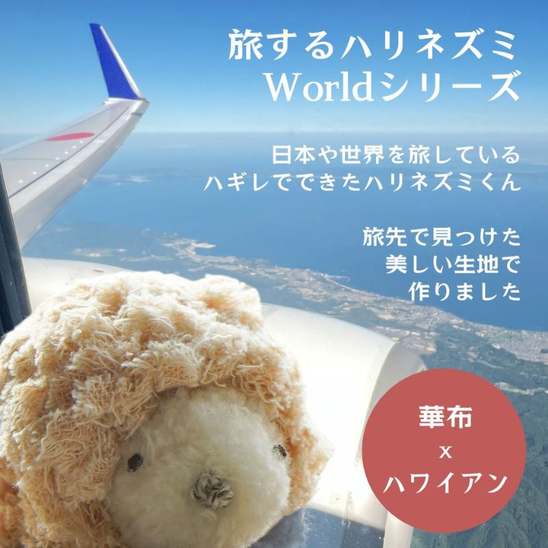 旅するハリネズミ　worldシリーズ