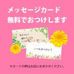 おまかせ花束-TOB-3000 花キューピット...の詳細画像3