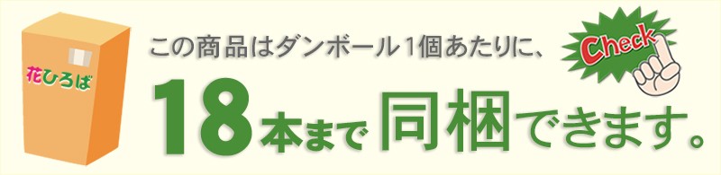 同梱可能数