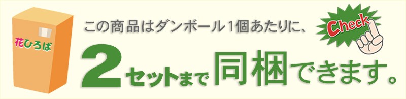 ◇まとめ買い割引 5％OFF◇ レッドロビン 苗 【選抜 スカーレットパール】 5号ポット苗×9本セット :tn06-493nset-01:苗木の専門店  グリーンでGO! - 通販 - Yahoo!ショッピング