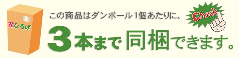 同梱可能数