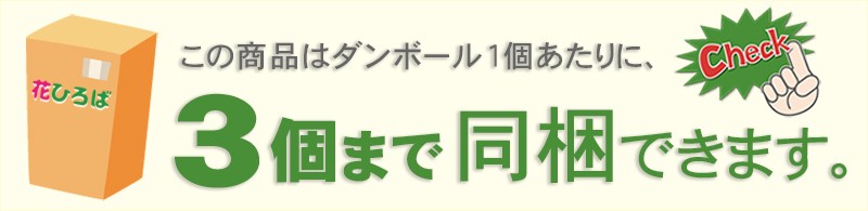 同梱可能数