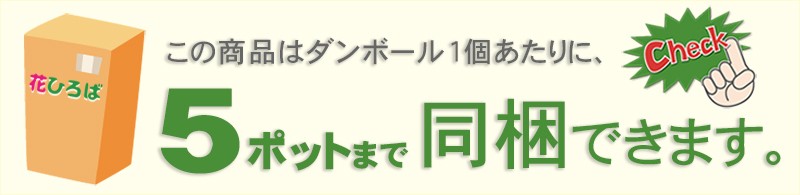 同梱可能数