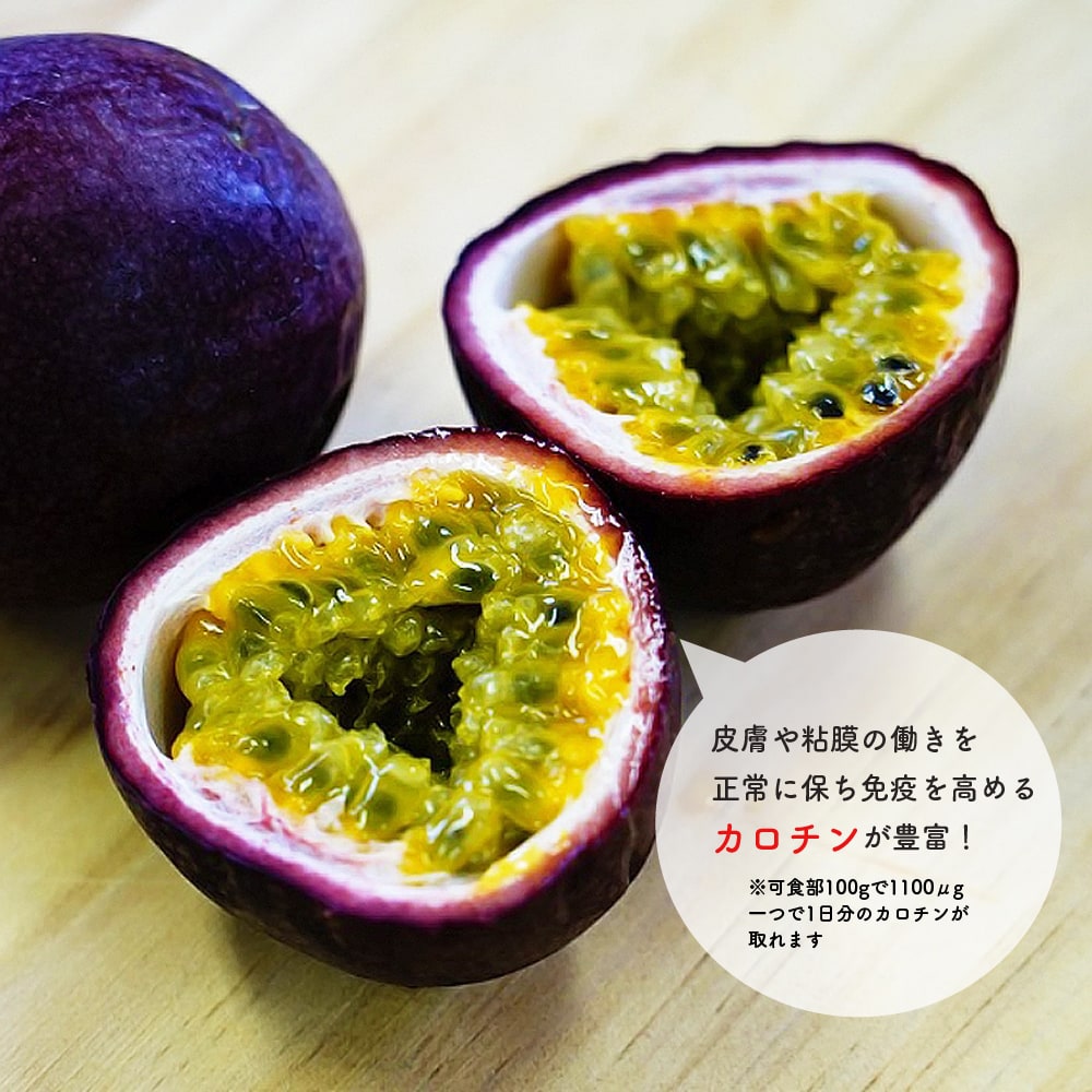 パッションフルーツ パープル 3 5号 ポット苗 沖縄県産 Passhon Fruit Purple01 苗木部 花ひろばオンライン 通販 Yahoo ショッピング