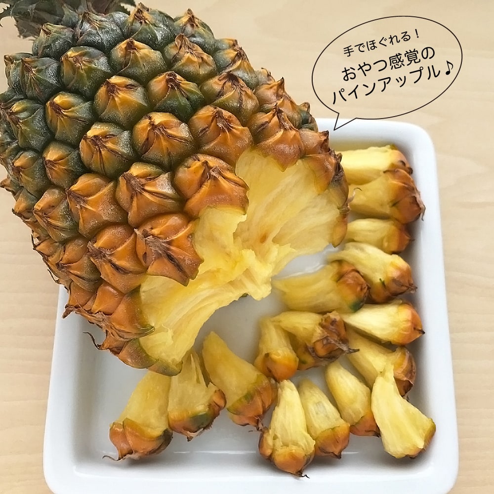 いーさん　ナムワバナナ、島バナナ、スナックパインの苗セット！ a4d5a13c2d580f60ce80654b67e331