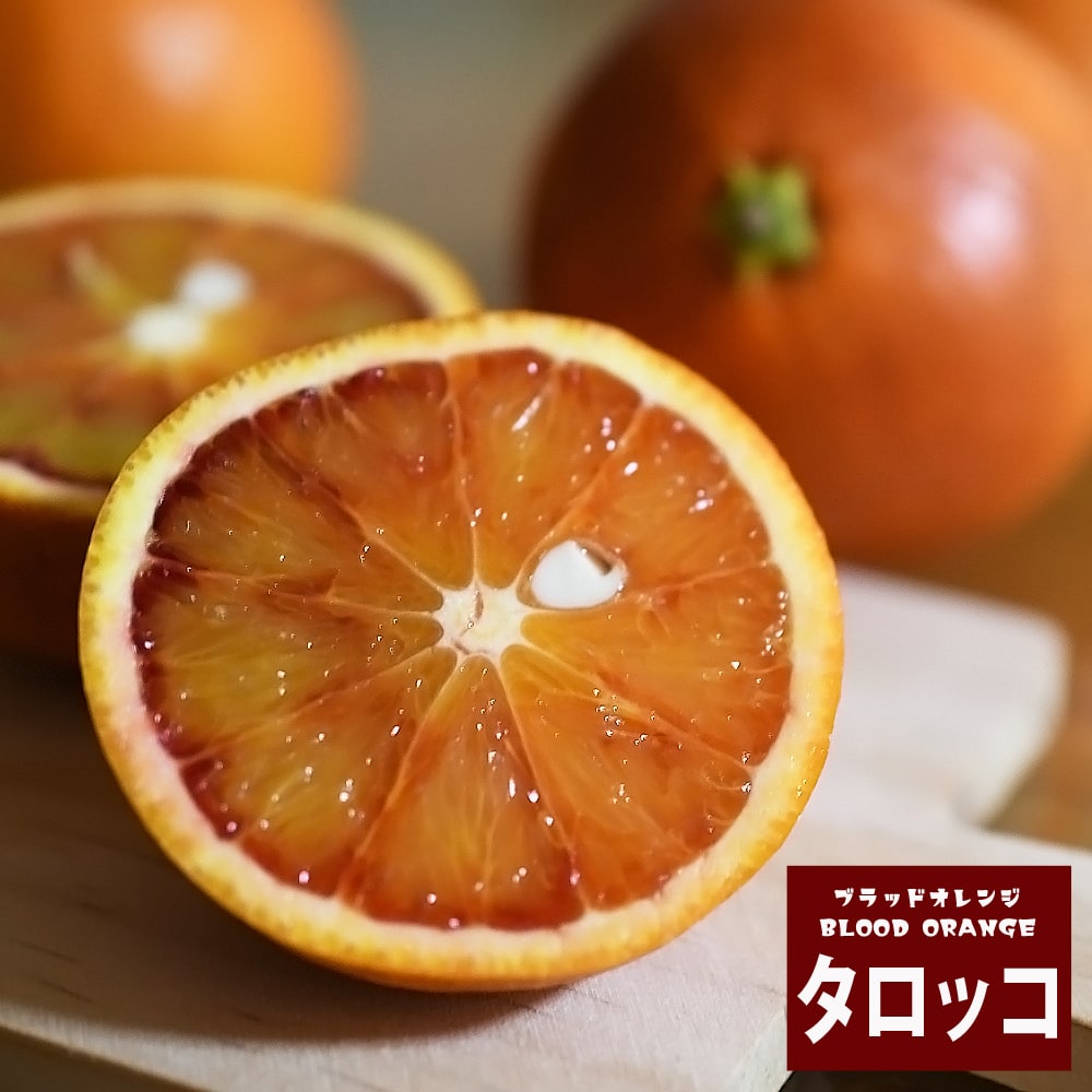 ブラッドオレンジ 苗木 タロッコ 1年生接木苗 爆買いweek : 苗木部 花