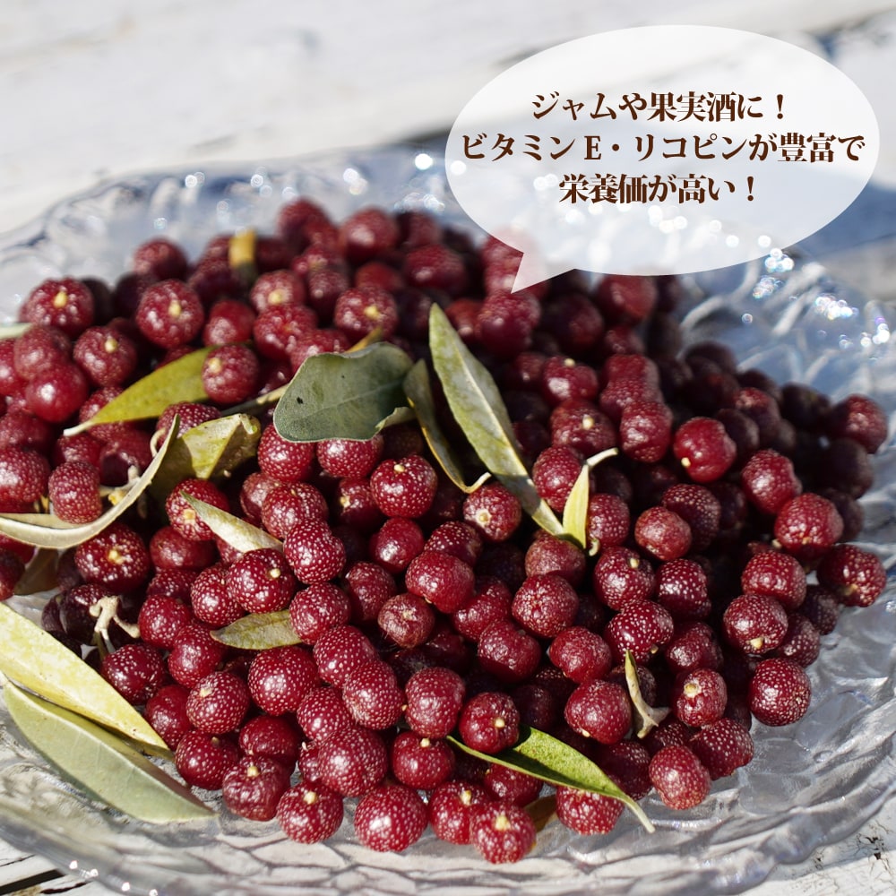 09215125_olive034_07.jpg