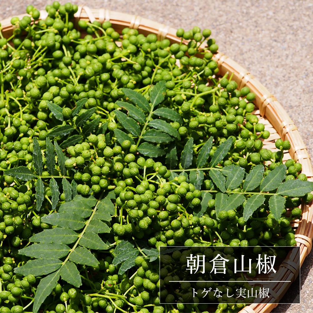 木の芽　山椒 昨日、近くのスーパーで山椒の葉っぱ(木の芽)4枚で250円で売っ